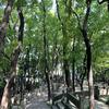 龙港月湖阅读与写作老师