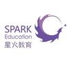 星火高考全日制_王老师