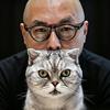 猫屿纪