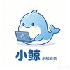 小鲸系统专业技术店铺