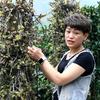 东阳市希斛堂电子商务有限公司企业店
