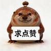 搞笑刀盾犬