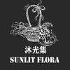 沐光集Sunlit Flora法式果礼