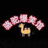 骆驼爆笑馆