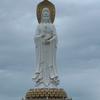 民女妞妞(首播)