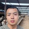 养羊人高鹏