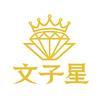文子星（金属提炼、物料回收、技术培训）