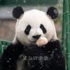 黑白胖墩墩