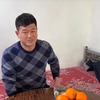 新疆塞尔迪糖稀哥