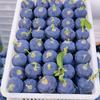 抚仙湖蓝莓【泊果鲜仓】