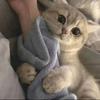 音符然秋
