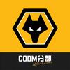 狼队电竞CODM分部