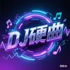 热门硬曲DJ•音乐（优盘）