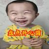 盘点开心菌