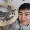 阿臭是只猫