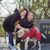 蓝鲸·猴一口