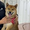 哆啦爱大雄