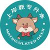 上岸鹿专升本