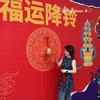 懒宝宝