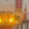 小利伟璇