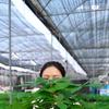 广州市绿云姿农业有限公司的小店