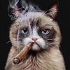 不一样的世界
