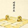 对弈半生