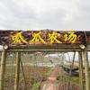 呱瓜农场