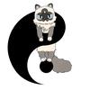 猫太极的拍猫录