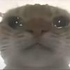 挂狗你们没有良心😭