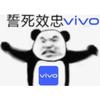 vivo小郑（一身反骨）