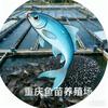 重庆水产鱼苗基地