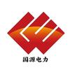 国源电力