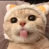 鑫鑫追剧