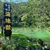 丁老板带你逛遍日本好物