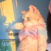 金宝日记🐈
