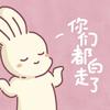 每日工具箱