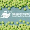 鲸丽网球学院官方号