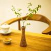 素心如简-张老师