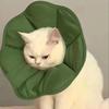 福福猪猪