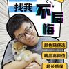 派派家的狗狗（派星人宠物）