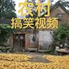农村搞笑视频