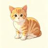 星星养猫
