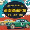 儋州望海名车（评估收车）