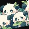 B站灰灰不见白
