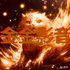 金金影音