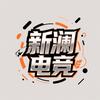 新澜电竞(三角洲护航)