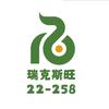 瑞克斯旺22-258小黄瓜