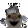 酸脚州（然然）