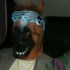 Bojack
